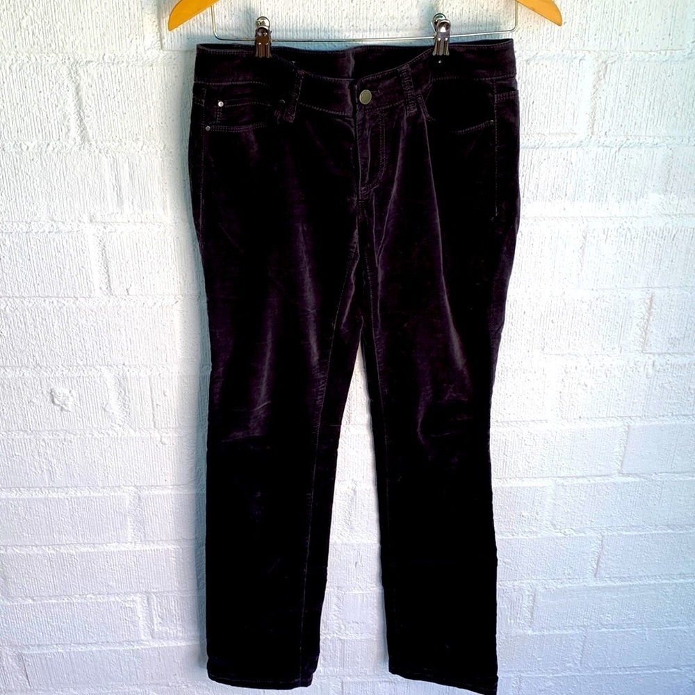 Ann Taylor Velvet Velour Modern Fit Black Pants sz 2